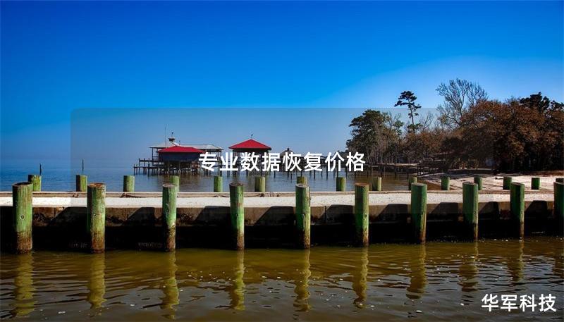 本文深入探讨专业数据恢复的价格因素，提供详细的操作方法和真实案例分析，帮助用户理解数据恢复的价值。