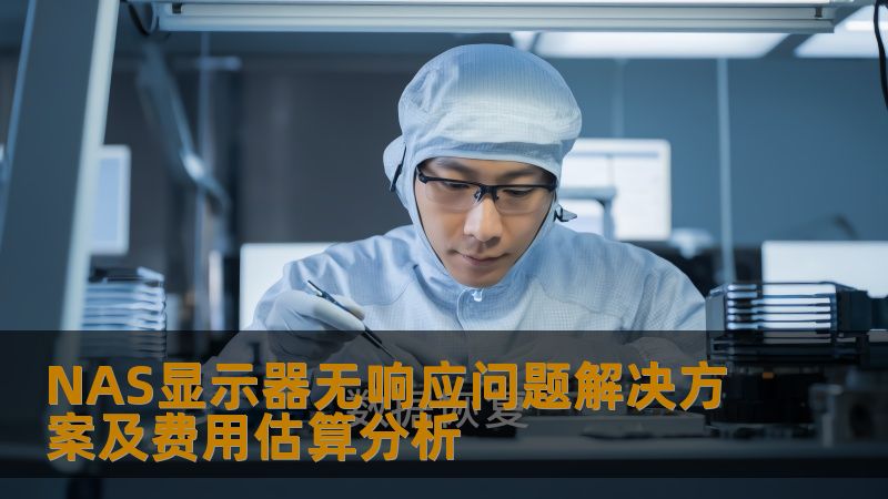 NAS显示器无响应问题解决方案及费用估算分析
