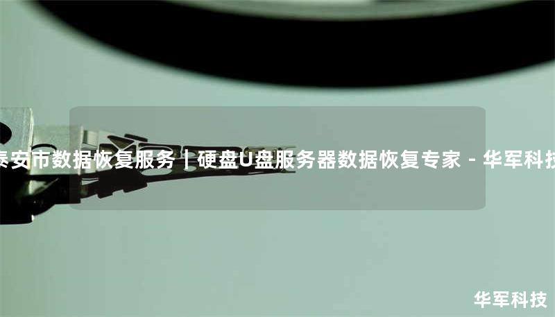 泰安市数据恢复服务｜硬盘/U盘/服务器数据恢复专家 - 技王