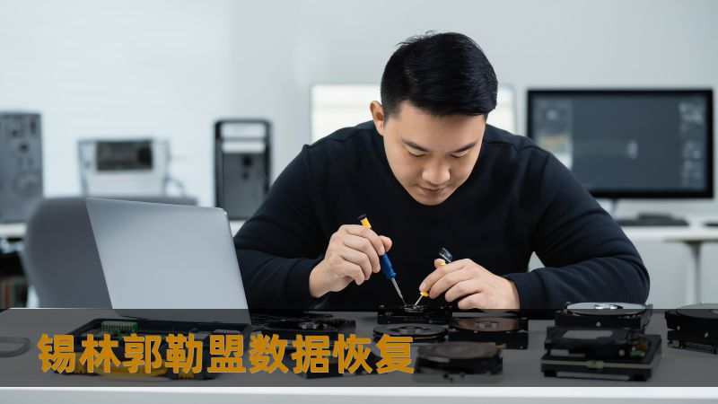 锡林郭勒盟数据恢复怎么办？技王数据恢复详解应对方案                锡林郭勒盟数据恢复怎么办？—— 技王数据恢复提供专业解决方案    在锡林郭勒盟的工作和生活中，数据丢失或损坏的情况时常发生。无论是上班族的硬盘崩溃、设计师误删项目文件、摄影师的移动硬盘无法识别，还是学生毕业论文丢失，甚至是公司服务器掉盘，这些问题都可能导致工作中断和重大损失。面对这些情况，很多人都感到束手无策，尤其...