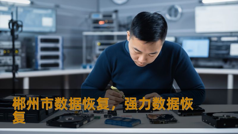 郴州市数据恢复指南：从突发故障到完整拯救的实战手册    当数据危机突袭：这些场景你是否正在经历？    凌晨三点，设计师李小姐的SSD突然掉盘，价值30万的设计稿岌岌可危；某公司IT主管张先生面对RAID5阵列双盘离线，ERP系统全面瘫痪；大学生小王误格式化移动硬盘，三年的实验数据瞬间消失…这些真实发生在郴州的案例，每天都在不同场景中重演。    💡技王数据恢复工程师陈工指出：