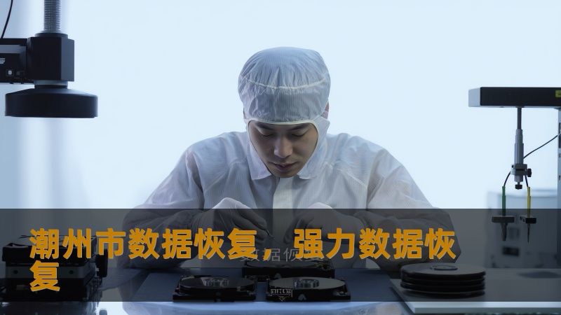 标题        《潮州市数据恢复实战指南：从硬盘崩溃到RAID修复的完整方案》     描述        潮州市数据恢复难题如何解决？硬盘异响、SSD掉盘、RAID阵列崩溃……技王数据恢复团队深耕行业22年，依托直营实验室与百级无尘环境，提供硬盘/SSD/服务器数据恢复服务。本文结合真实案例，详解技术原理与解决方案，助您快速找回丢失的珍贵文件与核心数据。     关键词        潮州市...