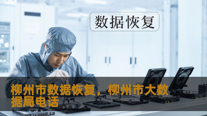 柳州市数据恢复，柳州市大数据局电话