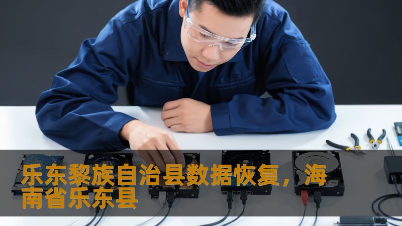 乐东黎族自治县数据恢复，海南省乐东县