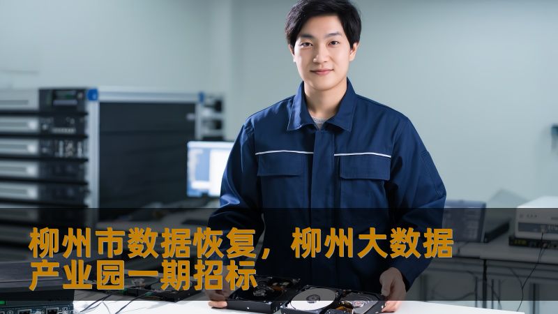 柳州市数据恢复，柳州大数据产业园一期招标