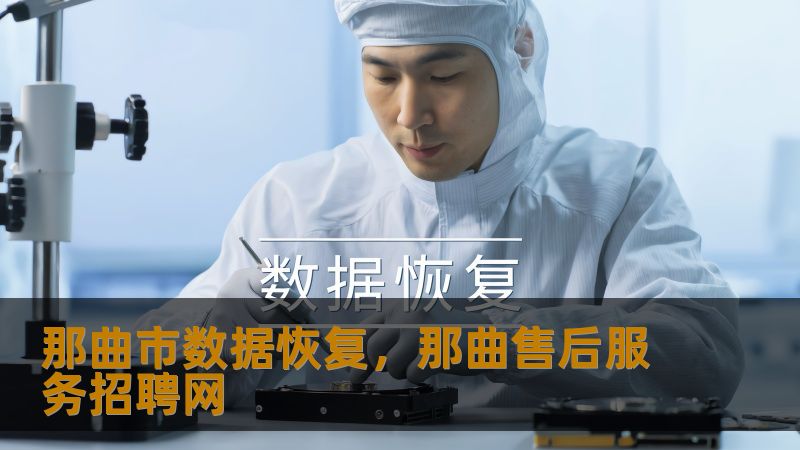 那曲市数据恢复，那曲售后服务招聘网