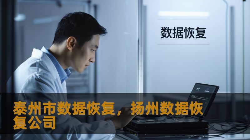 泰州市数据恢复怎么办？技王数据恢复详解应对方案    一、当数据突然消失时    凌晨三点，设计师李小姐的SSD突然掉盘，半年积累的VI设计稿瞬间消失；财务主管王先生整理报表时误删全年账目；摄影师张航的移动硬盘发出