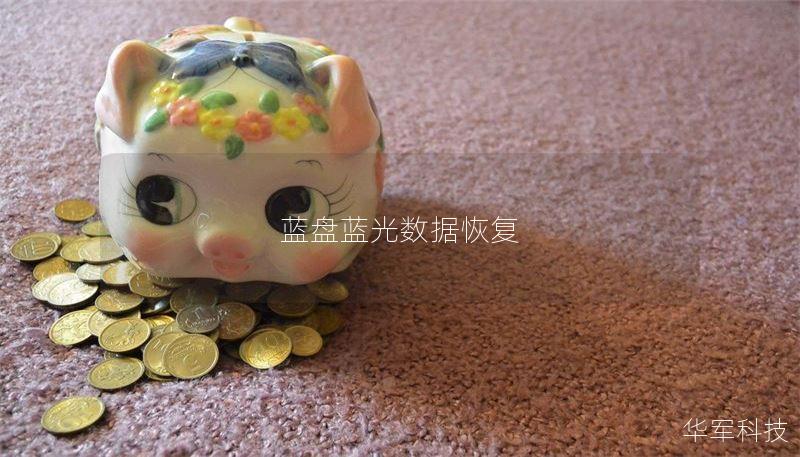 了解蓝盘蓝光数据恢复的专业方法与技巧，解决数据丢失问题，提供详细操作步骤与真实案例分析。