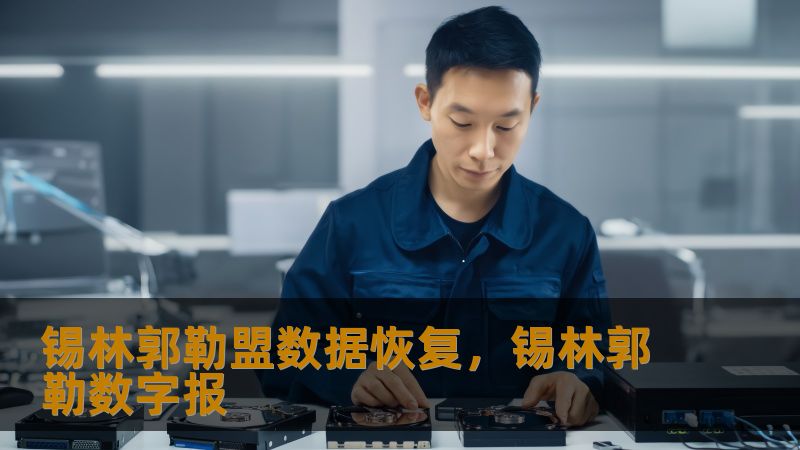 锡林郭勒盟数据恢复，锡林郭勒数字报