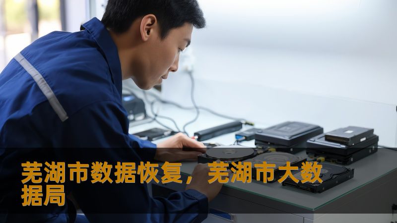 芜湖市数据恢复，芜湖市大数据局