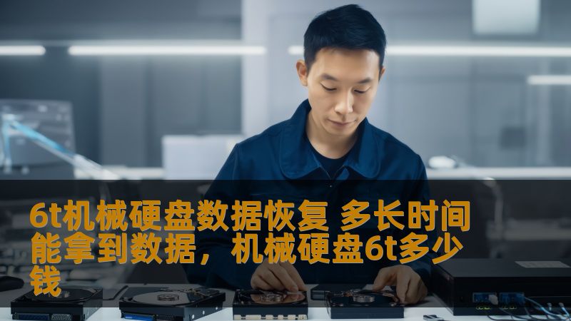 探讨6T机械硬盘在数据丢失后，恢复数据所需的时间和过程。了解如何通过专业数据恢复服务，尽快找回重要文件，避免数据丢失带来的损失。