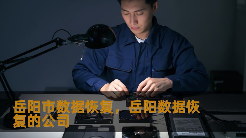 岳阳市数据恢复怎么办？技王数据恢复详解应对方案    开篇：当数据消失的瞬间    