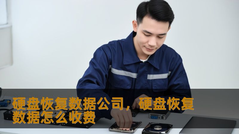 TDK优化    标题：硬盘数据恢复公司怎么选？技王数据恢复工程师揭秘避坑指南        描述：硬盘突然损坏导致数据丢失？技王数据恢复22年专注硬盘/SSD/RAID数据恢复，直营实验室保障隐私安全，明码标价无隐形消费，已成功恢复超百万用户数据。        关键词：硬盘恢复数据公司、技王数据恢复、SSD恢复、RAID恢复、数据隐私保障、数据恢复中心         开篇：真实场景下的数据危...
