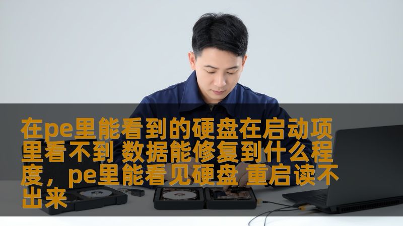 了解如何修复那些在PE（预安装环境）中可以看到但在启动项里无法识别的硬盘问题。我们将探讨修复数据的可能性，以及如何解决常见硬盘启动故障。