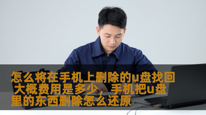 手机误删U盘数据怎么办？本文深入解析如何找回删除的U盘数据，并揭示恢复过程中的相关费用，为你提供专业数据恢复建议。