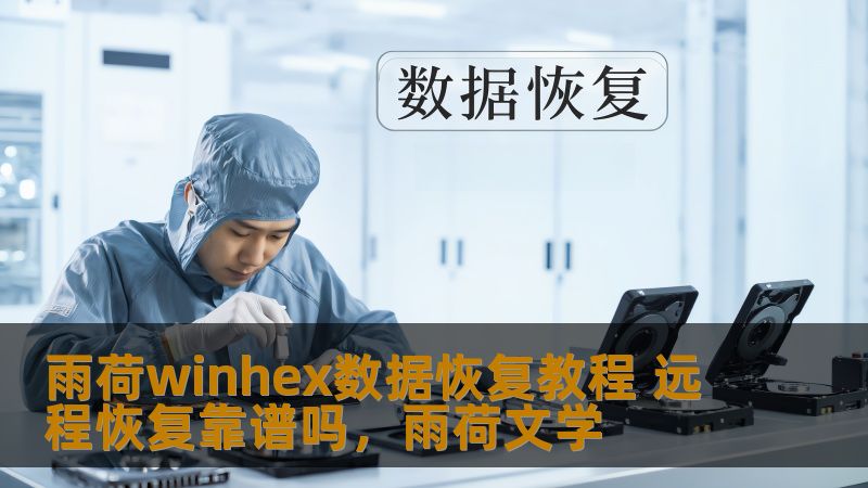 本文将详细介绍雨荷WinHex数据恢复的教程，并探讨远程恢复的可行性。通过一步步的解说，帮助您掌握数据恢复的技巧，同时了解远程恢复的优势与局限性，为您的数据恢复决策提供有价值的参考。