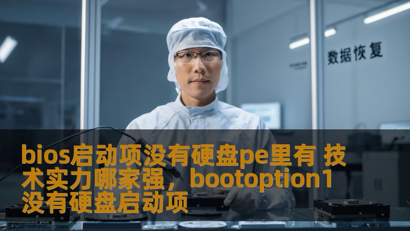 bios启动项没有硬盘pe里有 技术实力哪家强，bootoption1没有硬盘启动项