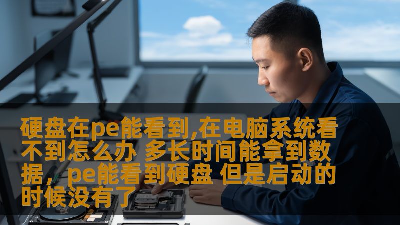 硬盘在pe能看到,在电脑系统看不到怎么办 多长时间能拿到数据，pe能看到硬盘 但是启动的时候没有了