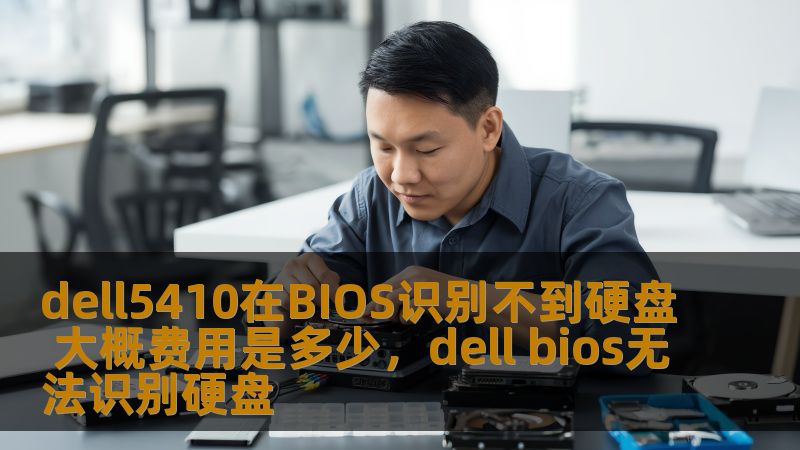 dell5410在BIOS识别不到硬盘 大概费用是多少，dell bios无法识别硬盘