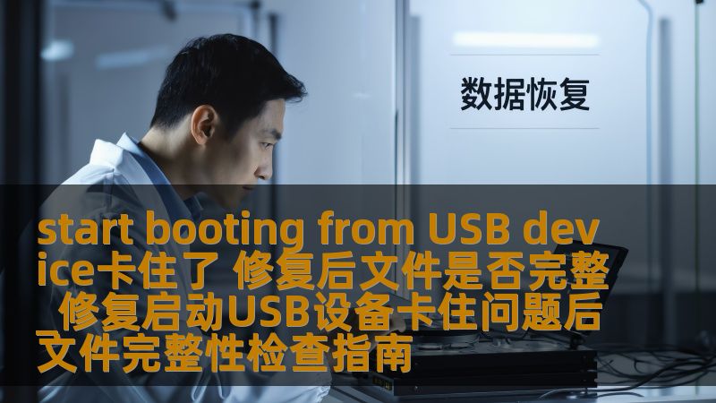 start booting from USB device卡住了 修复后文件是否完整_修复启动USB设备卡住问题后文件完整性检查指南