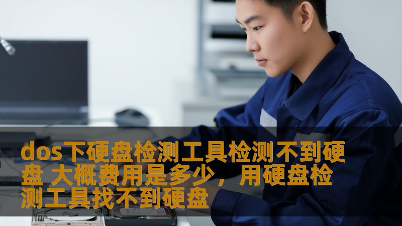 dos下硬盘检测工具检测不到硬盘 大概费用是多少，用硬盘检测工具找不到硬盘