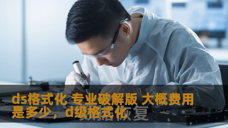 ds格式化 专业破解版 大概费用是多少，d级格式化