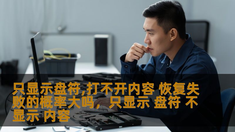 只显示盘符,打不开内容 恢复失败的概率大吗，只显示 盘符 不显示 内容