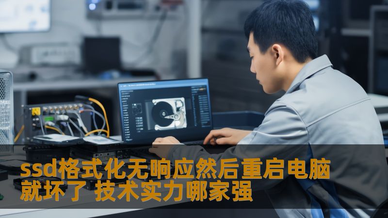 ssd格式化无响应然后重启电脑就坏了 技术实力哪家强