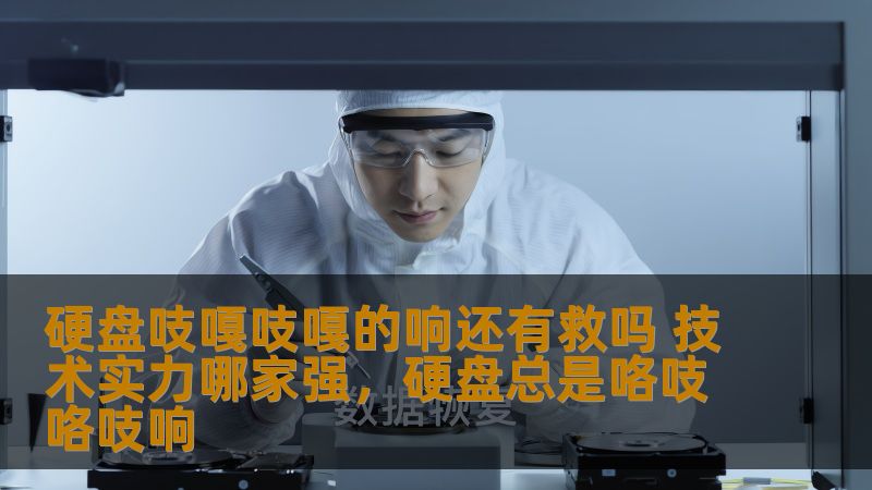 硬盘吱嘎吱嘎的响还有救吗 技术实力哪家强，硬盘总是咯吱咯吱响