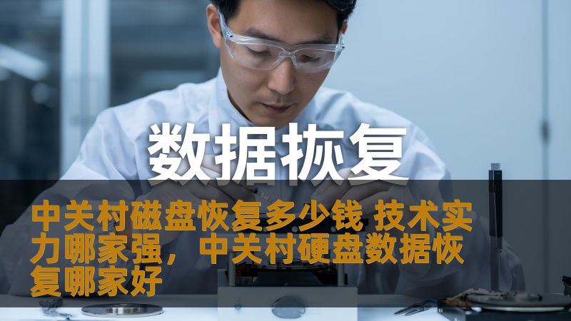 中关村磁盘恢复多少钱 技术实力哪家强，中关村硬盘数据恢复哪家好