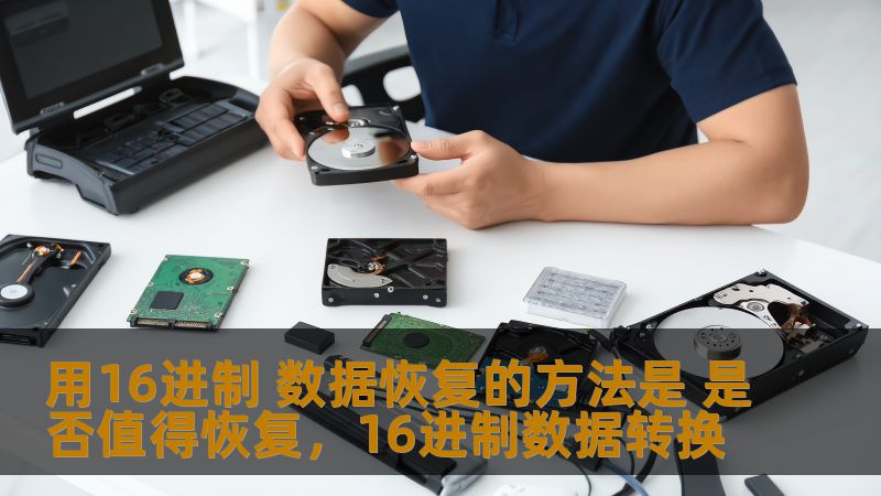 用16进制 数据恢复的方法是 是否值得恢复，16进制数据转换