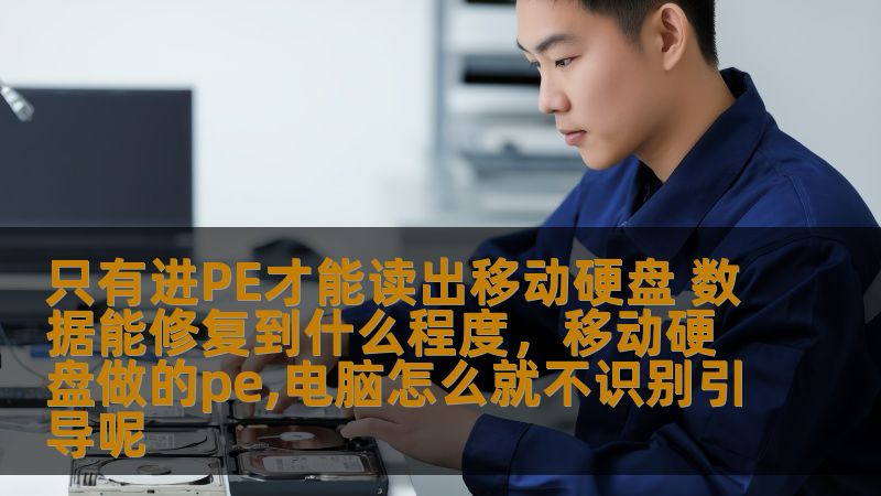 只有进PE才能读出移动硬盘 数据能修复到什么程度,移动硬盘做的pe,电脑怎么就不识别引导呢 只有进PE才能读出移动硬盘 数据能修复到什么程度,移动硬盘做的pe,电脑怎么就不识别引导呢