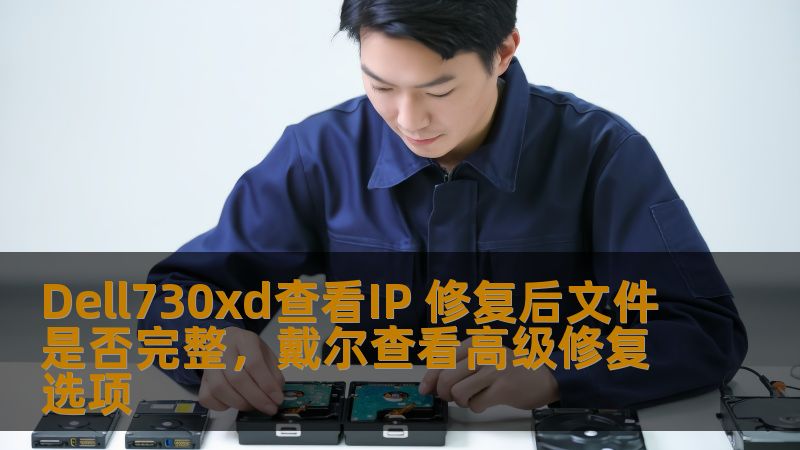 本文探讨了如何利用Dell730xd查看IP修复后，确保文件的完整性，为企业IT管理提供了一种高效可靠的解决方案。了解这一流程，提升你的系统维护和管理能力。