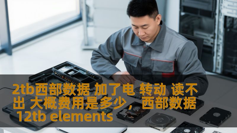 2tb西部数据 加了电 转动 读不出 大概费用是多少,西部数据 12tb elements 2tb西部数据 加了电 转动 读不出 大概费用是多少,西部数据 12tb elements