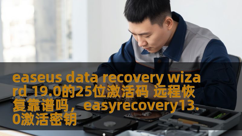 easeus data recovery wizard 19.0的25位激活码 远程恢复靠谱吗，easyrecovery13.0激活密钥