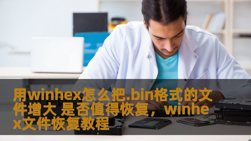 本文详细解析了如何使用WinHex增大.bin格式文件的大小，并探讨了是否值得进行恢复操作。无论是文件恢复还是文件增大的需求，WinHex作为一款强大的工具，提供了极为灵活的解决方案。我们将深入讨论相关操作技巧，并分析是否需要进行这些操作。