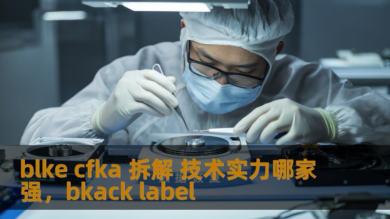 本文将通过详细拆解BLKE与CFKA在技术实力方面的优势与差异，带您深入了解它们在行业中的表现与创新，为您挑选最合适的技术解决方案提供有力参考。