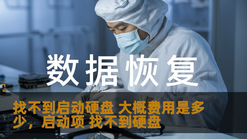 找不到启动硬盘 大概费用是多少，启动项 找不到硬盘