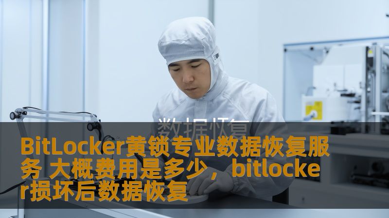 BitLocker黄锁专业数据恢复服务 大概费用是多少,bitlocker损坏后数据恢复 BitLocker黄锁专业数据恢复服务 大概费用是多少,bitlocker损坏后数据恢复