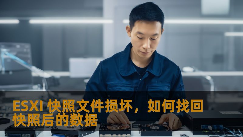 ESXI 快照文件损坏,如何找回快照后的数据 ESXI 快照文件损坏,如何找回快照后的数据