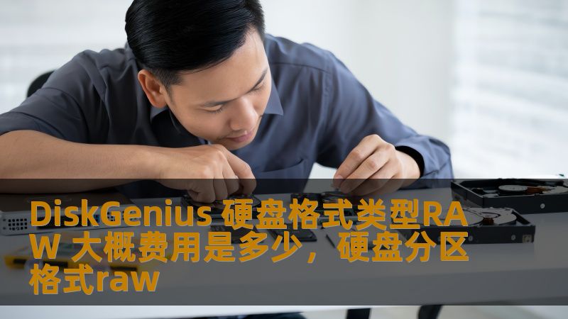 DiskGenius 硬盘格式类型RAW 大概费用是多少，硬盘分区格式raw