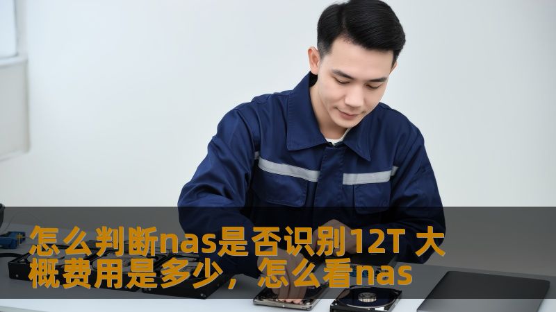 怎么判断nas是否识别12T 大概费用是多少，怎么看nas