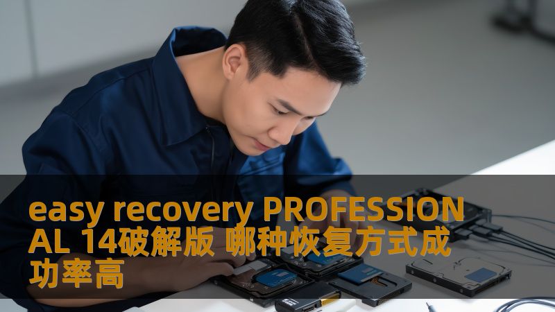 easy recovery PROFESSIONAL 14破解版 哪种恢复方式成功率高 easy recovery PROFESSIONAL 14破解版 哪种恢复方式成功率高