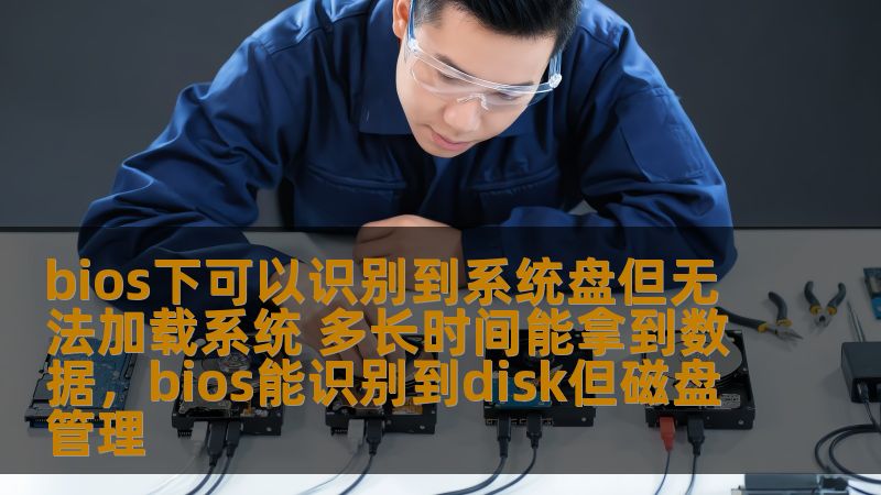 bios下可以识别到系统盘但无法加载系统 多长时间能拿到数据,bios能识别到disk但磁盘管理 bios下可以识别到系统盘但无法加载系统 多长时间能拿到数据,bios能识别到disk但磁盘管理