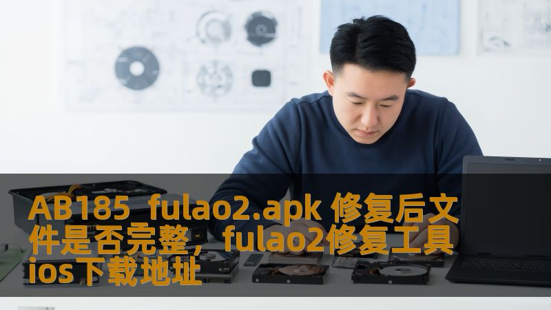 本文将深入分析AB185_fulao2.apk修复后文件的完整性，揭示修复过程中可能出现的潜在问题，帮助用户在面对文件修复时作出更加明智的判断。