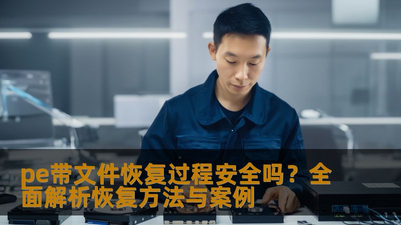 pe带文件恢复过程安全吗？全面解析恢复方法与案例