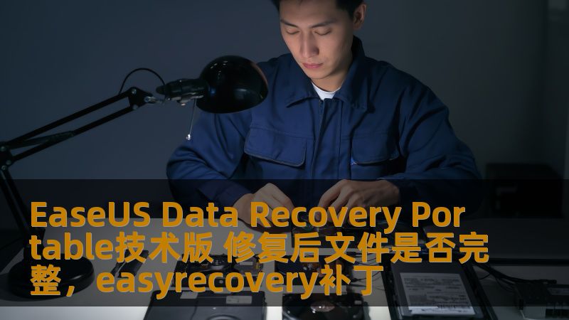 EaseUS Data Recovery Portable技术版 修复后文件是否完整,easyrecovery补丁 EaseUS Data Recovery Portable技术版 修复后文件是否完整,easyrecovery补丁