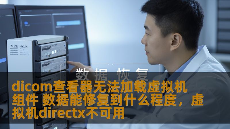 dicom查看器无法加载虚拟机组件 数据能修复到什么程度，虚拟机directx不可用