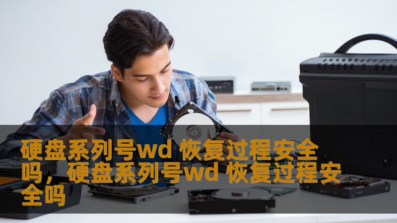 硬盘系列号wd 恢复过程安全吗，硬盘系列号wd 恢复过程安全吗