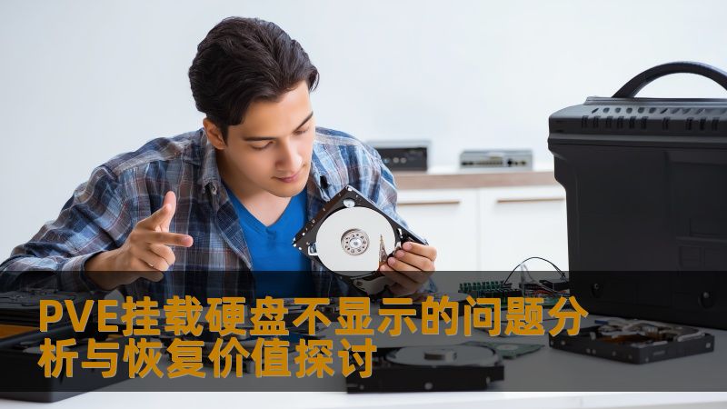 PVE挂载硬盘不显示的问题分析与恢复价值探讨